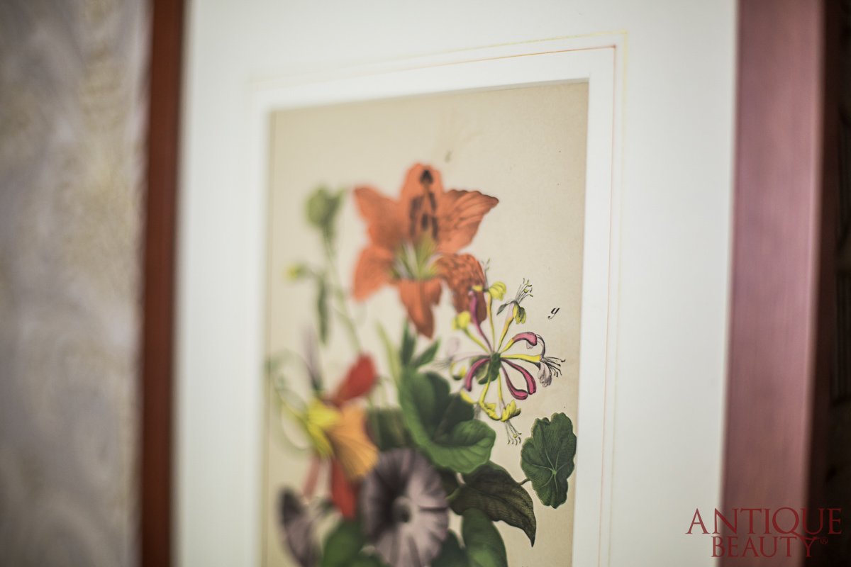 grafiki flora-26.jpg