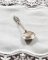 A Silver Sugar Spoon