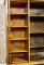 Bookcase in Birchen Veneer