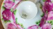 A Single Rosenthal/Chrysantheme Cup