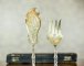 Silver Fish Flatware