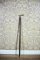 Cane with the Jaguar Head, Circa the Turn of the 19th and 20th Centuries