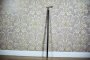 Cane with the Jaguar Head, Circa the Turn of the 19th and 20th Centuries