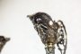 Pair of Ornamental Vases