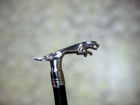 Cane with the Jaguar Head, Circa the Turn of the 19th and 20th Centuries