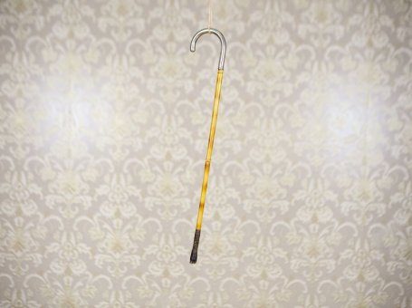 Small Cane with Metal Handle, 20th Century